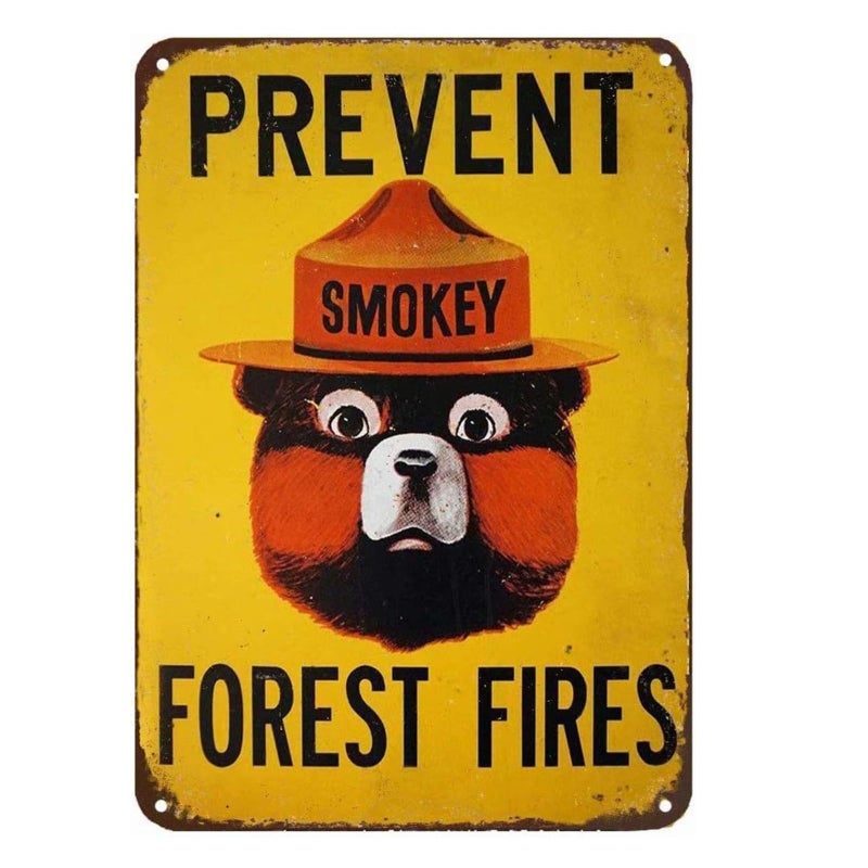 CCPARTON Smokey Bear Prevent Forest Fires Outdoors Metal Tin Sign Wall Decor Retro Metal Signs 8x12 Inch - Image 1